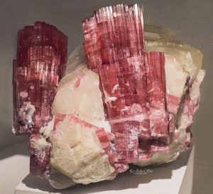 Tourmaline: Elbaite-Rubellite in Pegmatite