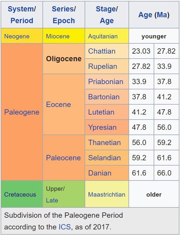 Amber age - table of prehistoric periods